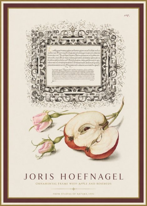 Joris Hoefnagel Illuminated Calligraphy and Botanical Study No2 - Plakát