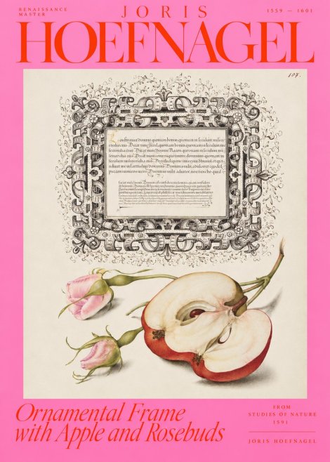 Joris Hoefnagel Illuminated Calligraphy and Botanical Study No4 - Plakát