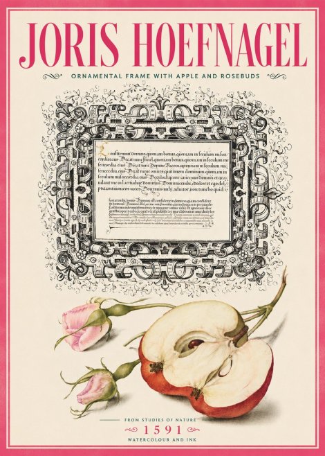 Joris Hoefnagel Illuminated Calligraphy and Botanical Study No6 - Plakát