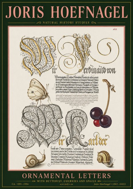 Joris Hoefnagel Ornamental Letters with Butterfly, Cherries and Snails No5 - Plakát