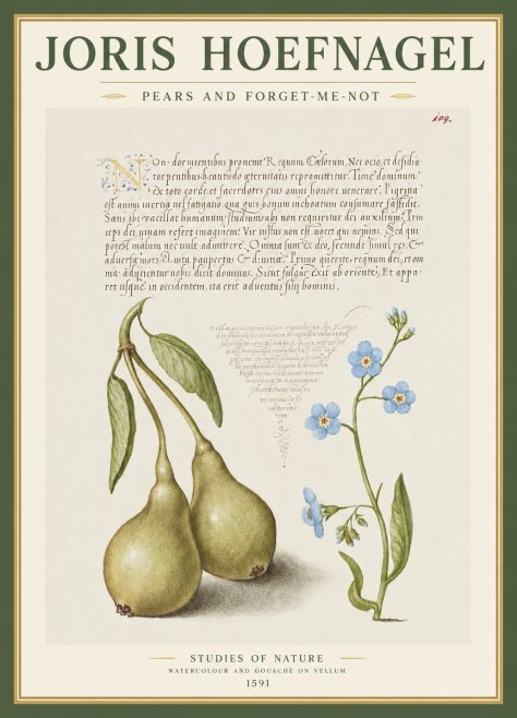 Joris Hoefnagel Pears and Forget-me-not No1 - Plakát