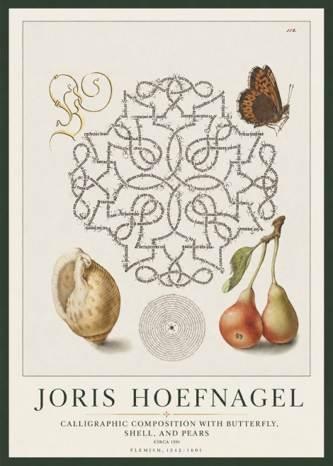 Joris Hoefnagel Calligraphic Composition with Butterfly, Shell, and Pears No1 - Plakát