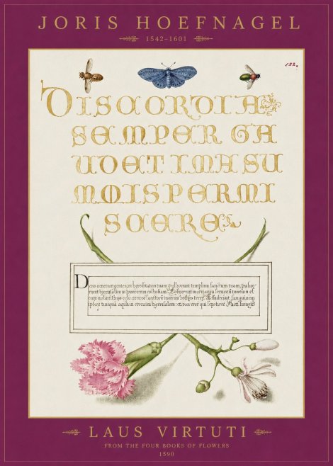 Joris Hoefnagel Laus Virtuti No2 - Plakát