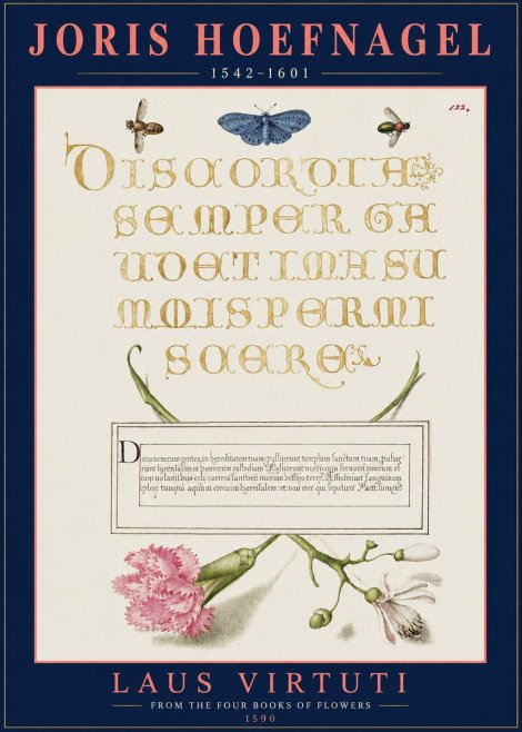 Joris Hoefnagel Laus Virtuti No3 - Plakát