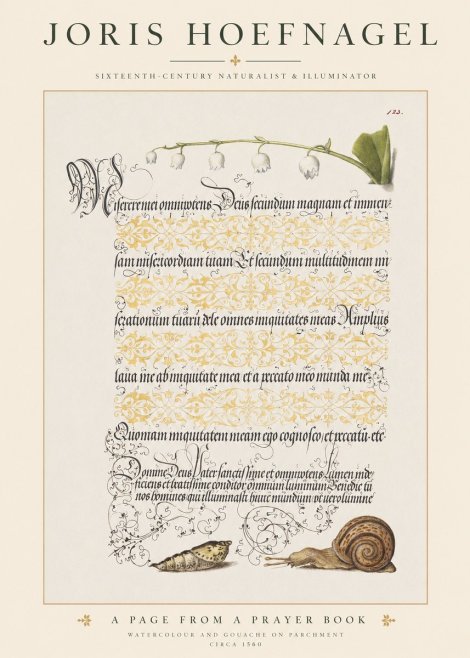Joris Hoefnagel Lily of the Valley, Snail and Caterpillar No6 - Plakát