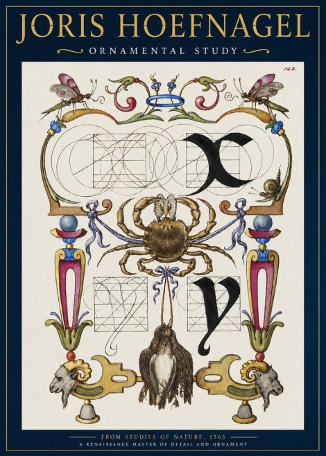 Joris Hoefnagel Ornamental Study II No2 - Plakát
