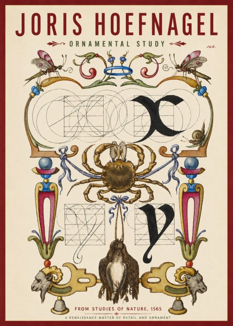 Joris Hoefnagel Ornamental Study II No3 - Plakát