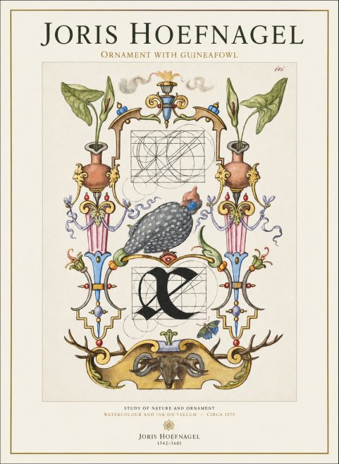 Joris Hoefnagel Ornament with Guineafowl No1 - Plakát