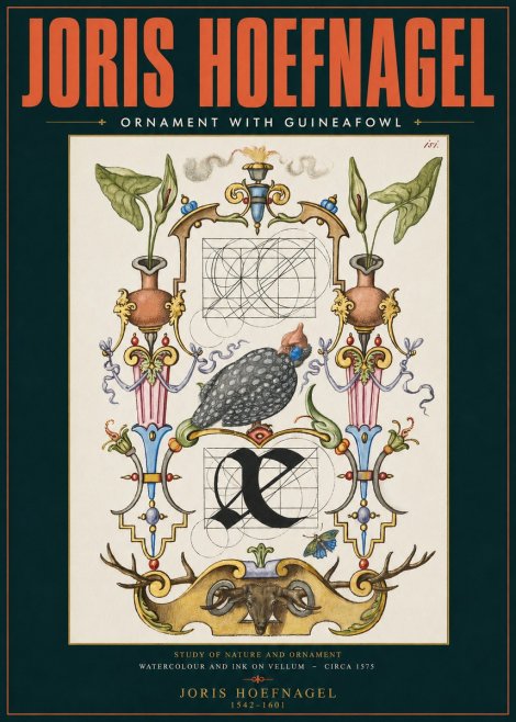 Joris Hoefnagel Ornament with Guineafowl No2 - Plakát