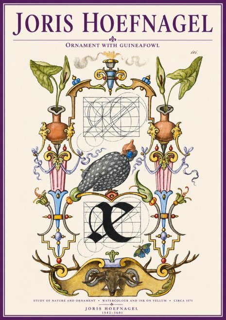 Joris Hoefnagel Ornament with Guineafowl No3 - Plakát