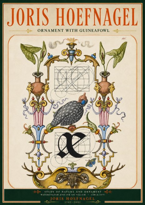 Joris Hoefnagel Ornament with Guineafowl No5 - Plakát
