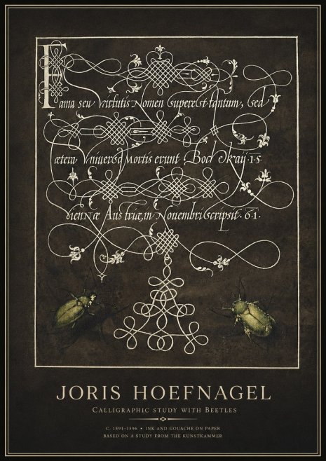 Joris Hoefnagel Calligraphic Study with Beetles No1 - Plakát
