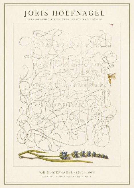 Joris Hoefnagel Calligraphic Study with Insect and Flower No1 - Plakát