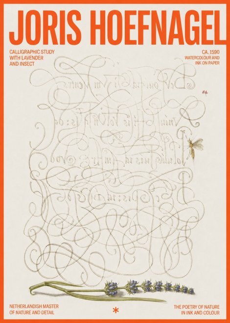 Joris Hoefnagel Calligraphic Study with Insect and Flower No6 - Plakát