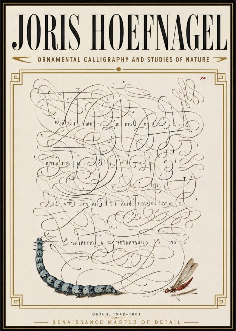 Joris Hoefnagel Ornamental Calligraphy and Studies of Nature No6 - Plakát