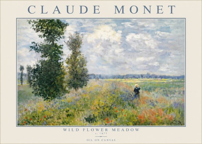 Monet Wild Flower Meadow No5 - Plakát