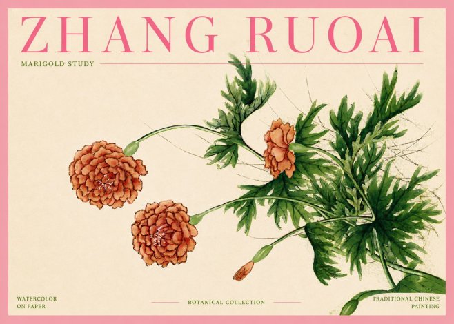 Zhang Ruoai Marigold Study No4 - Plakát