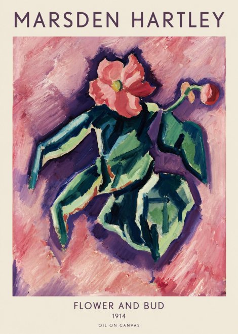 Marsden Hartley Flower and Bud No1 - Plakát