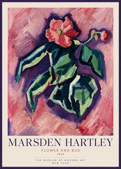 Marsden Hartley Flower and Bud No2 - Plakát