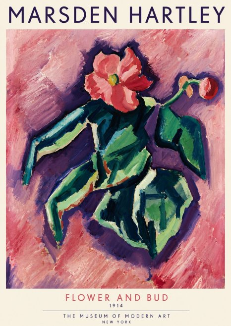 Marsden Hartley Flower and Bud No4 - Plakát