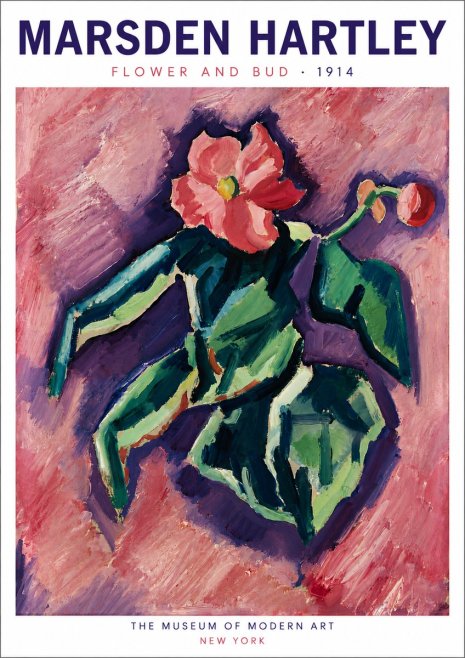 Marsden Hartley Flower and Bud No6 - Plakát