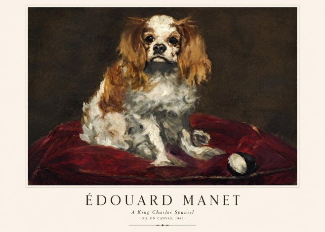 Édouard Manet A King Charles Spaniel No1 - Plakát