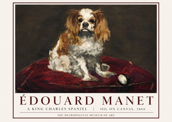 Édouard Manet A King Charles Spaniel No3 - Plakát
