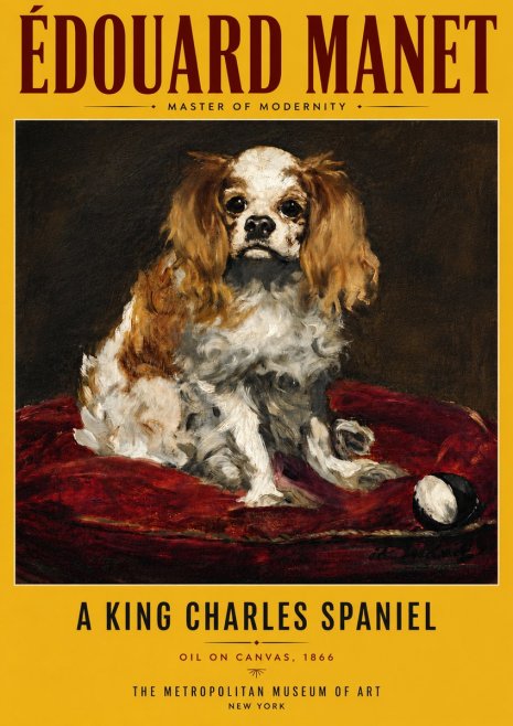 Édouard Manet A King Charles Spaniel No6 - Plakát