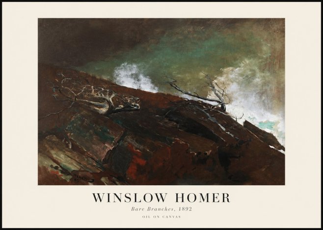 Winslow Homer Bare Branches, 1892 No1 - Plakát