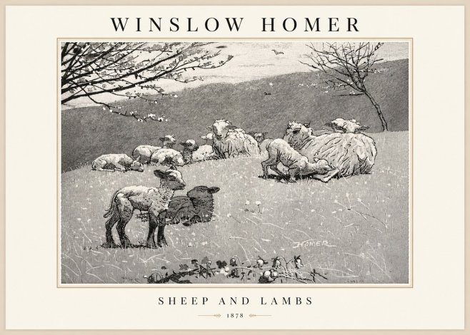 Winslow Homer Sheep and Lambs No1 - Plakát