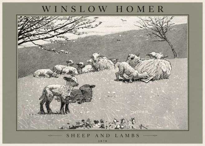 Winslow Homer Sheep and Lambs No2 - Plakát