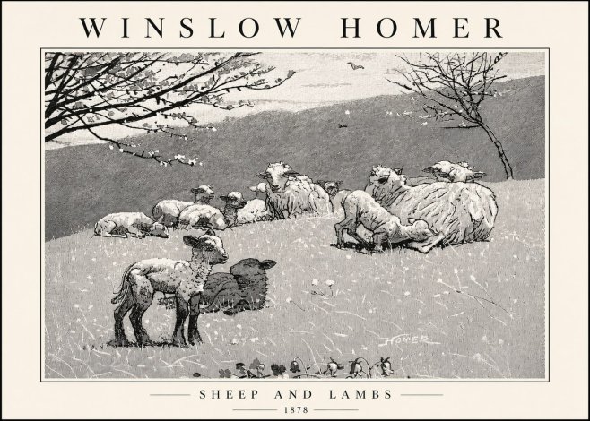 Winslow Homer Sheep and Lambs No4 - Plakát