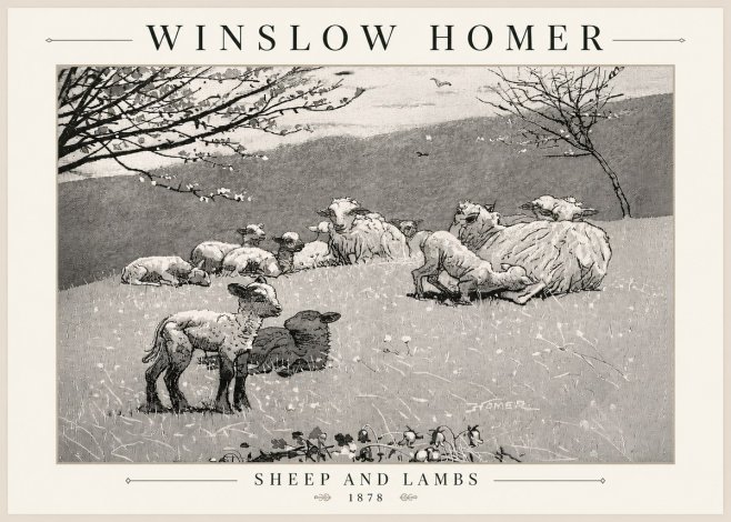 Winslow Homer Sheep and Lambs No5 - Plakát