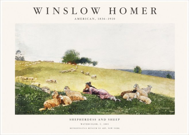 Winslow Homer Shepherdess and Sheep No1 - Plakát