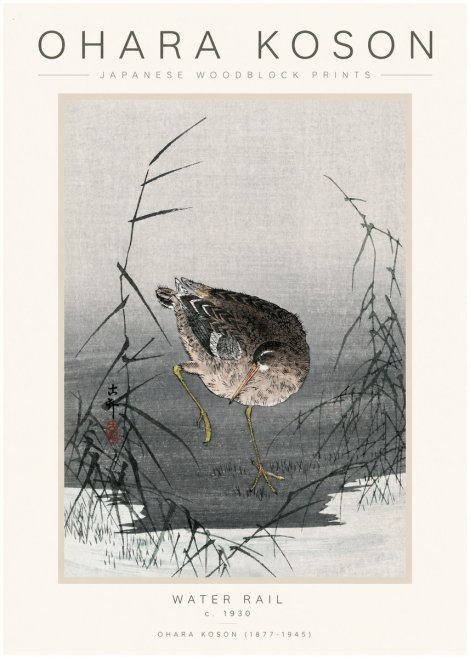 Ohara Koson Water Rail No1 - Plakát