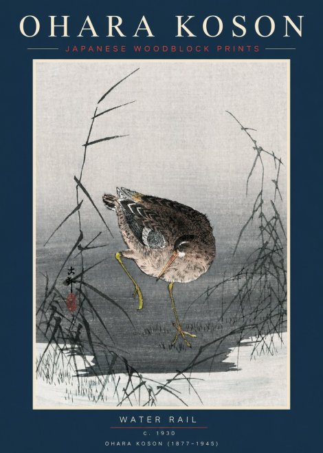Ohara Koson Water Rail No2 - Plakát