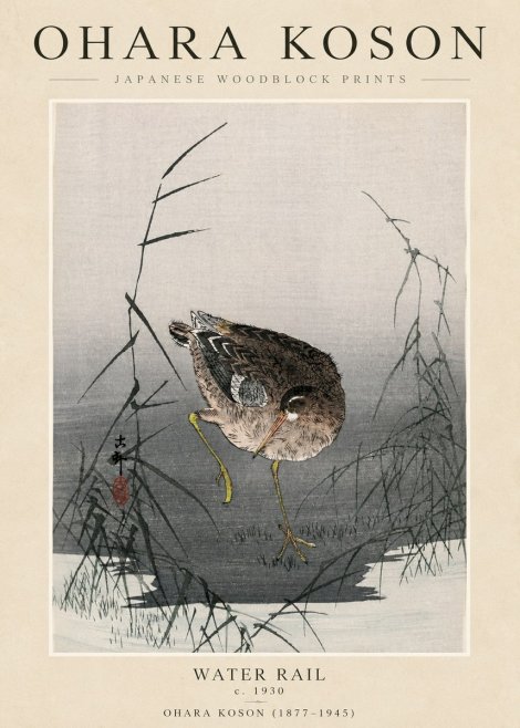 Ohara Koson Water Rail No3 - Plakát