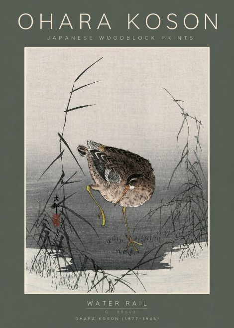 Ohara Koson Water Rail No5 - Plakát