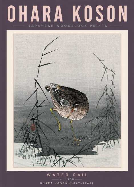 Ohara Koson Water Rail No6 - Plakát