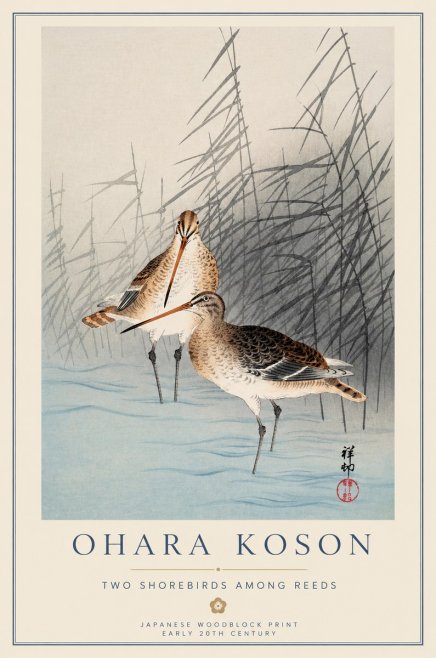 Ohara Koson Snipe in the Reeds No2 - Plakát
