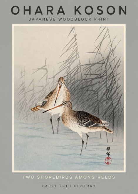 Ohara Koson Snipe in the Reeds No3 - Plakát