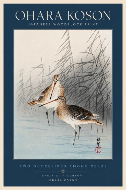 Ohara Koson Snipe in the Reeds No4 - Plakát
