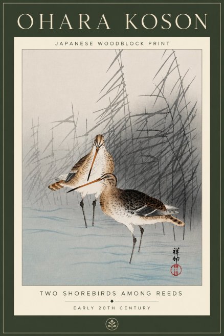 Ohara Koson Snipe in the Reeds No6 - Plakát