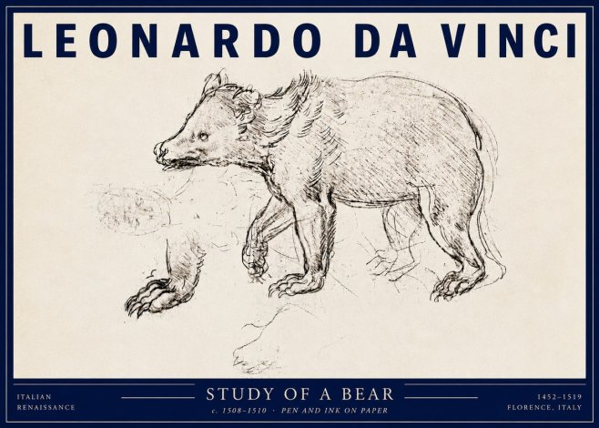 Leonardo da Vinci Study of a Bear No3 - Plakát