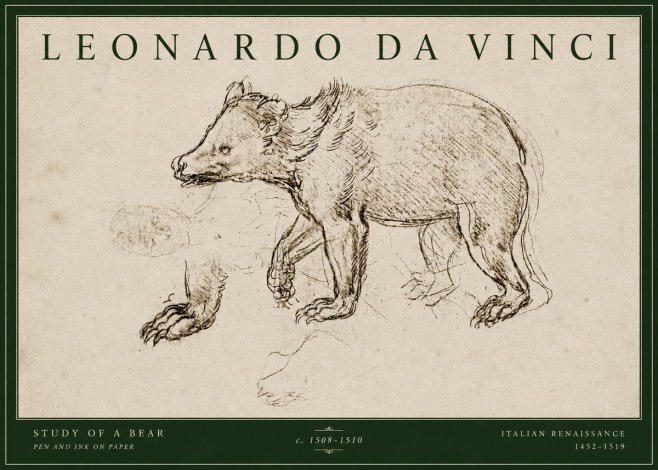 Leonardo da Vinci Study of a Bear No4 - Plakát
