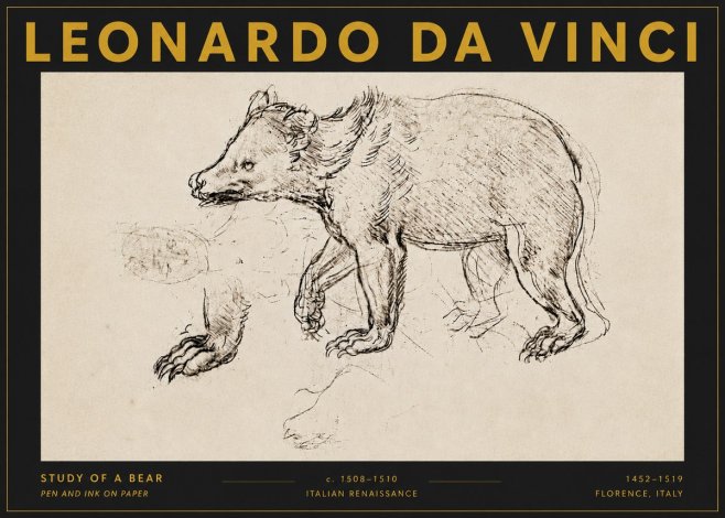 Leonardo da Vinci Study of a Bear No5 - Plakát