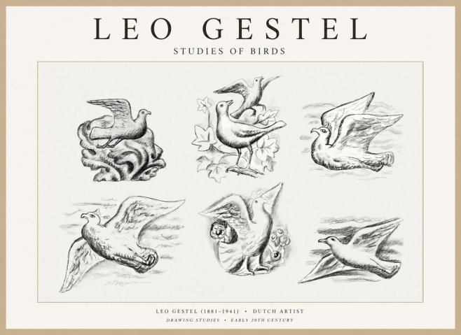 Leo Gestel Studies of Birds No1 - Plakát