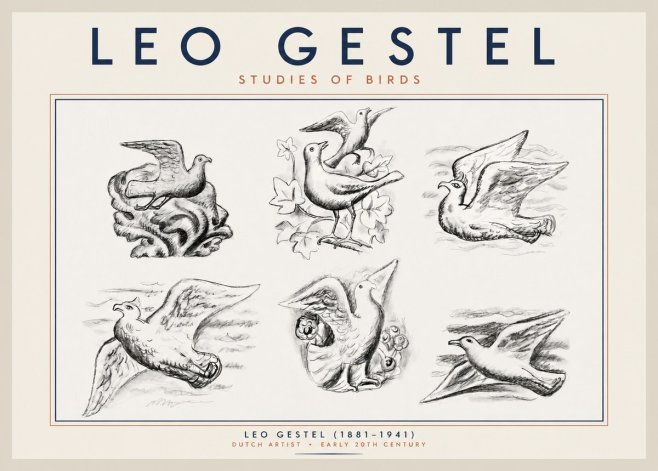 Leo Gestel Studies of Birds No2 - Plakát