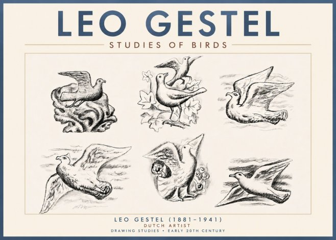 Leo Gestel Studies of Birds No4 - Plakát
