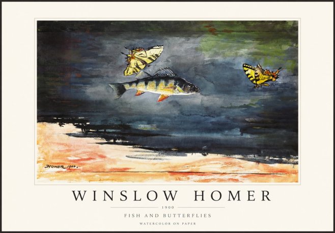 Winslow Homer Fish and Butterflies No1 - Plakát